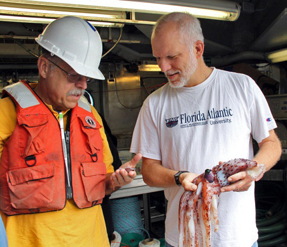 Jon Moore and Mike Vecchione comparing squid sizes